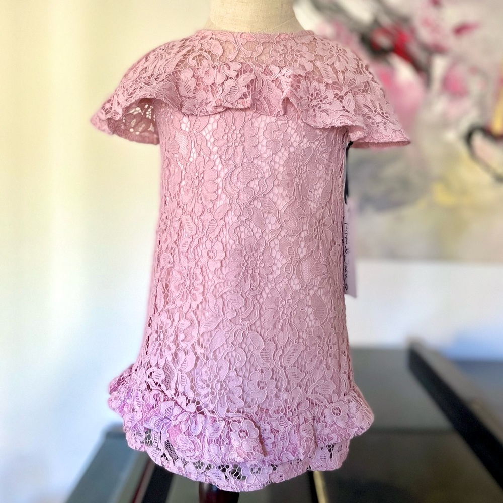 NWT Pippa and Julie pink lace dress